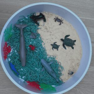 NT-Pack-Website-Photo-Taste-Safe-Ocean-Adventure-min Nannytax Nannypax Taste-Safe Ocean Adventure
