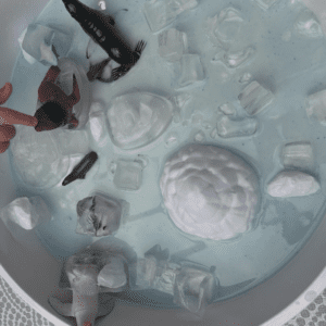 NT-Pack-Website-Photo-Ice-Gloop-Exploration